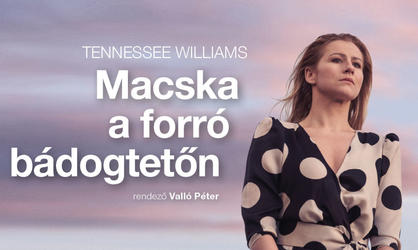 Tennessee Williams: Macska a forró bádogtetőn